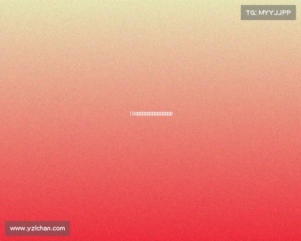 19届电子竞技解说南传南传电竞策划