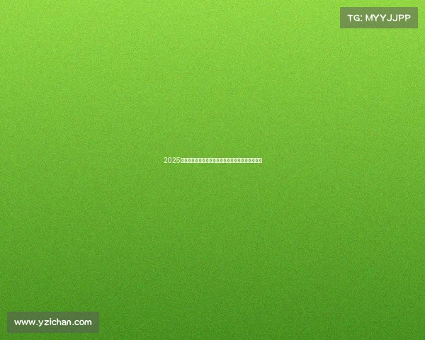 2025昆明电竞公开赛总决赛收官，丝路英豪决胜春城之巅